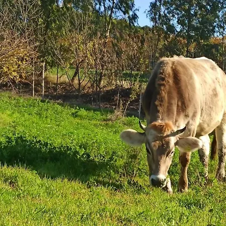 Masseria La Fiorita *