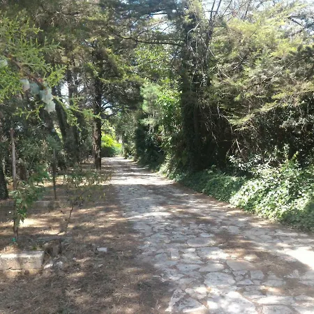 Masseria La Fiorita Bauernhof *
